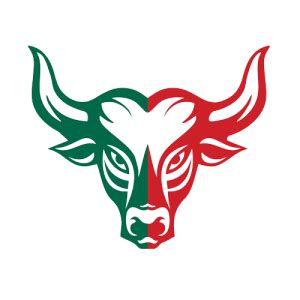torobet|TORO BET.